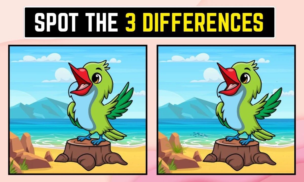 Optical Illusion 8 Challenge - Spot The 3 differences In This Parrot Image